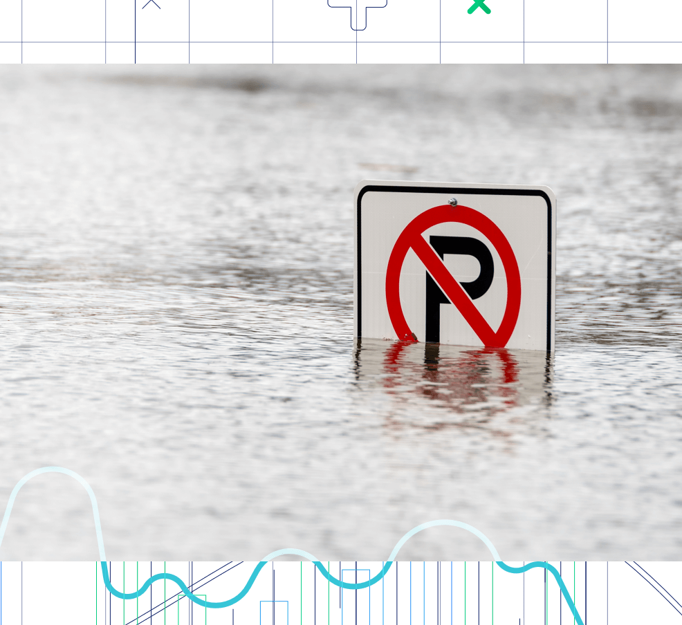 A no parking sign that's underwater