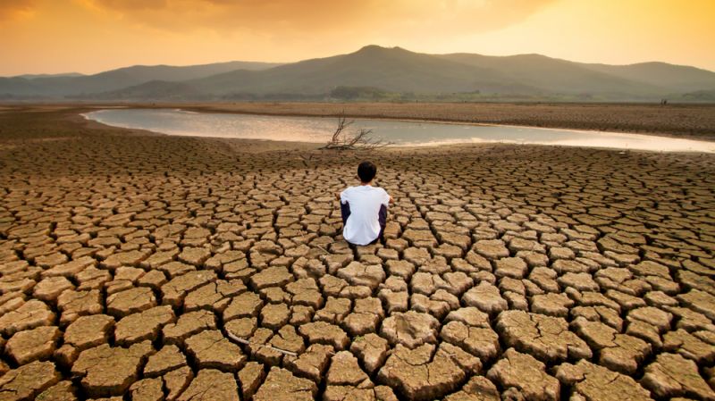 Cooking the Books, Cooking the Planet