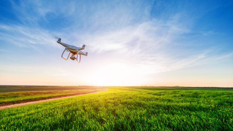 Cultivating AI for Good