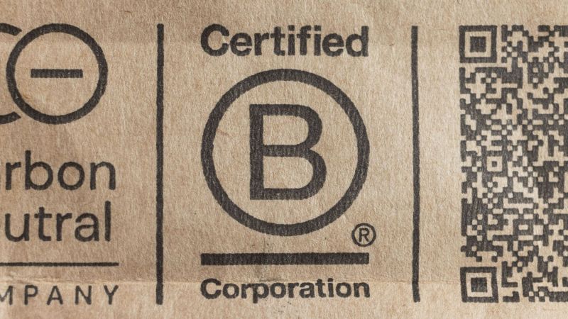 Does B Corp Certification Motivate Customers?