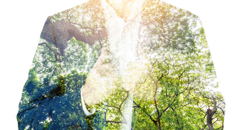 Double exposure of businessman in suit and old tree in a green forest view.