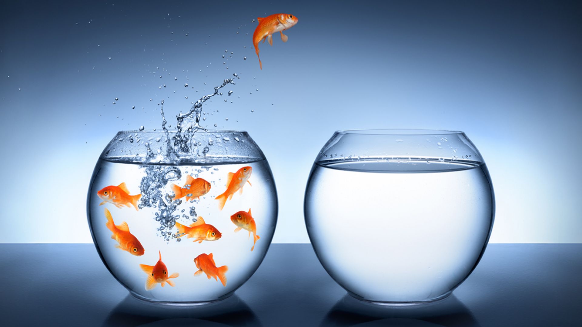 Can "Stay Interviews" Stop the Great Resignation?