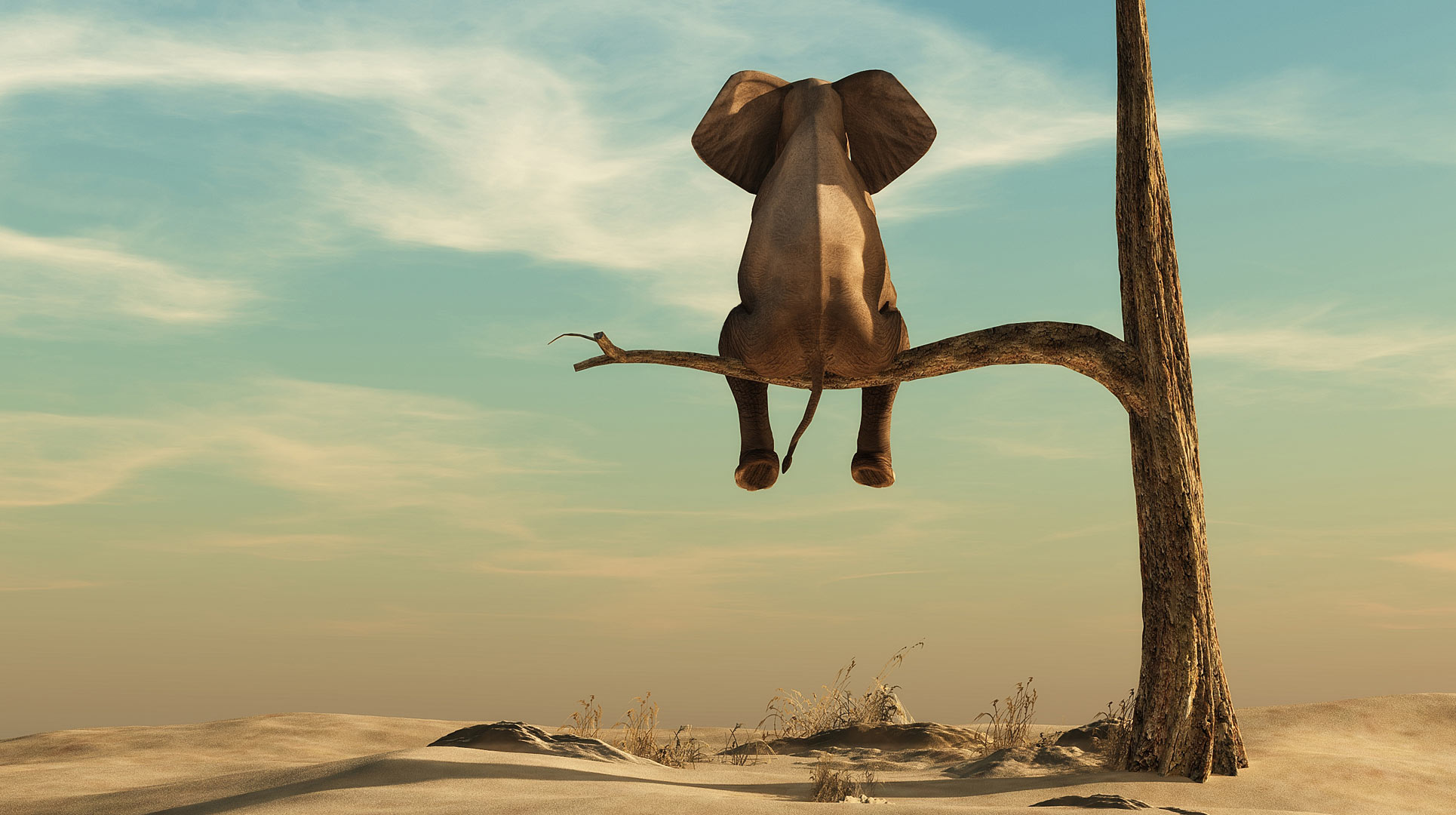 In Business, Hope Is Not a Strategy
