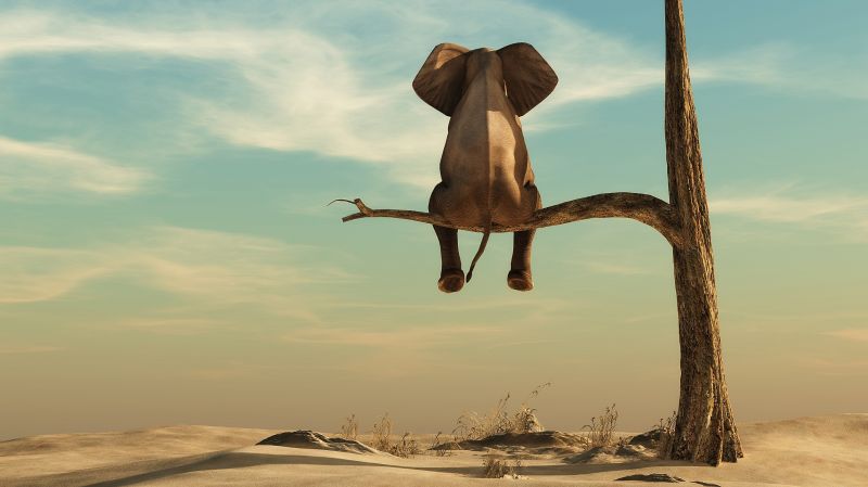 In Business, Hope Is Not a Strategy