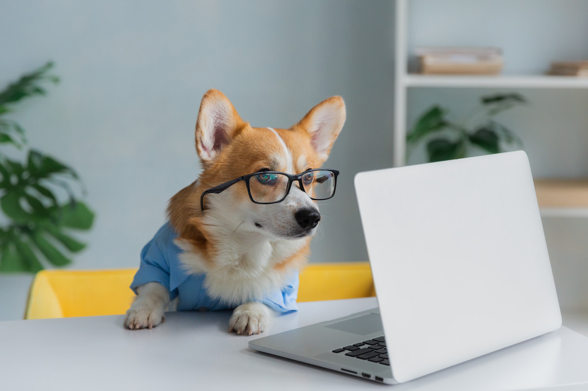 How to Have a More Productive Day