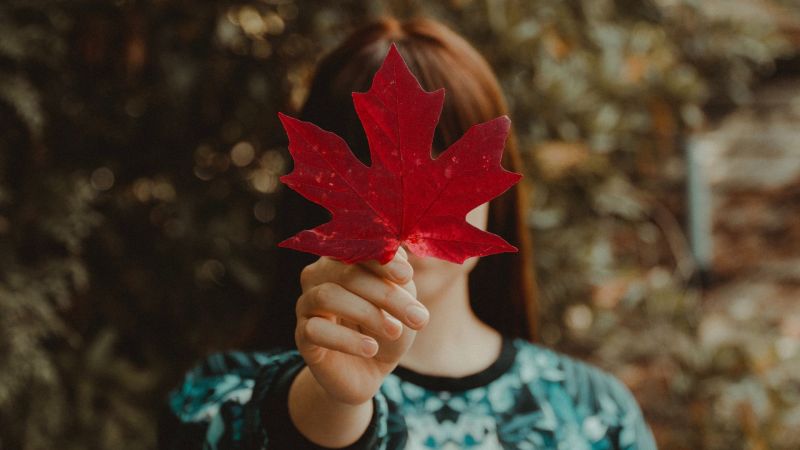Where “Brand Canada” Stands in the Tariff Era