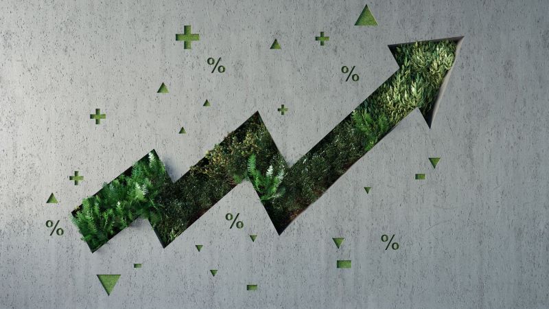 Vertical garden shaped growing graph arrow on a wall