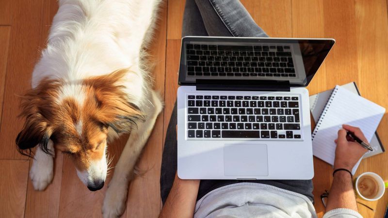 Managing the Virtual Workplace Means Managing Mental Health