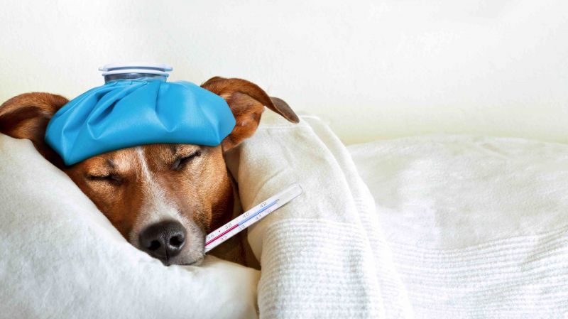 How to Stop Workers from Showing up Sick