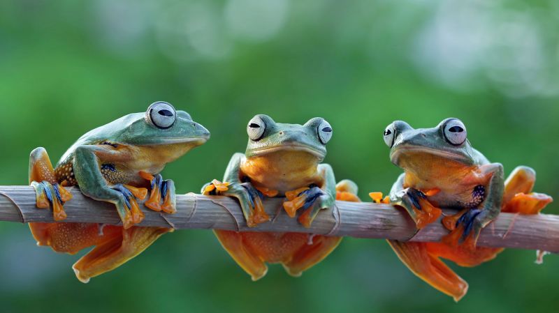 How New Entrepreneurs Can Bank on Social Capital