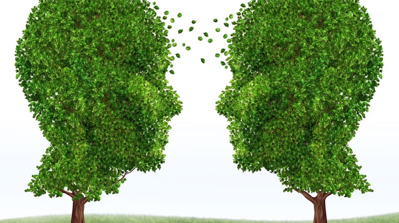 Building Green Enterprises Through HRM