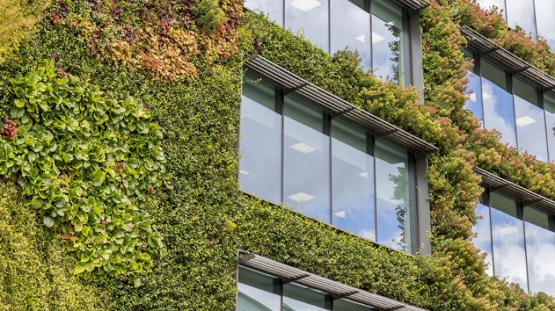 Want a Greener Company? Clean Up Your Board First