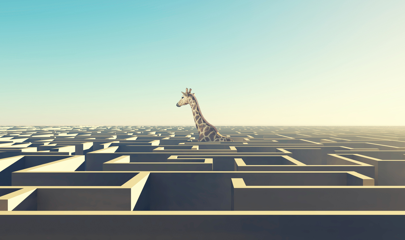 Why Big Data Needs “Agile” Help