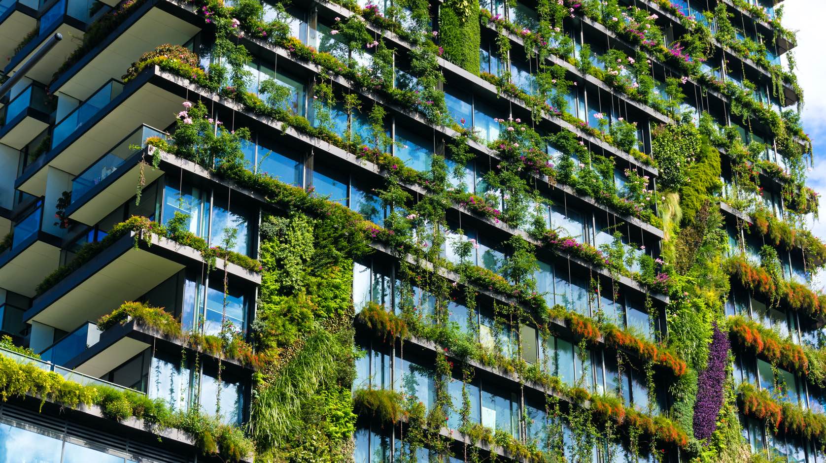 Closeup of a condo building with green vines growing up the outside walls